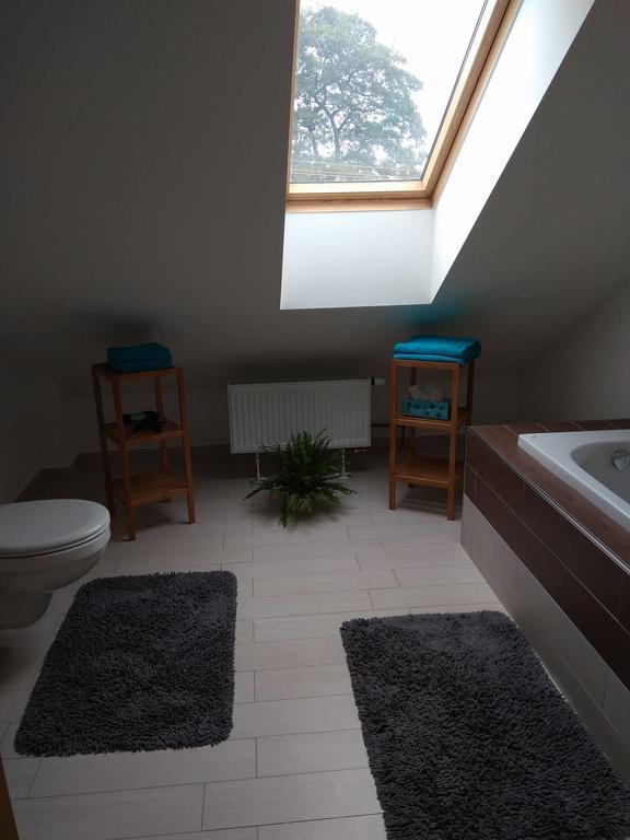 Apartmany Pod Lesem Bohutín Exterior photo
